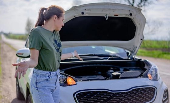 ZekerGeertsAutorijden